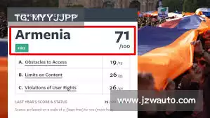 蜜蜂加速器优势——释放系统潜力，助您迎接更高效的业务未来！